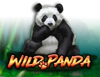 Wild Panda